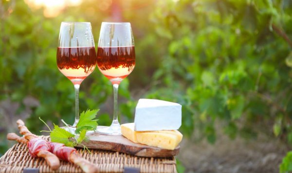 Dégustation de vin sancerre - Crézancy-en-Sancerre - SCEA JEAN MORIN