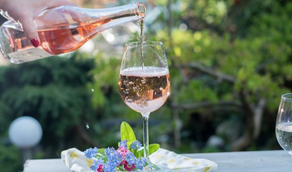 Dégustation de vins - Crézancy-en-Sancerre - SCEA JEAN MORIN