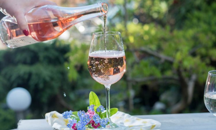 Dégustation de vins - Crézancy-en-Sancerre - SCEA JEAN MORIN
